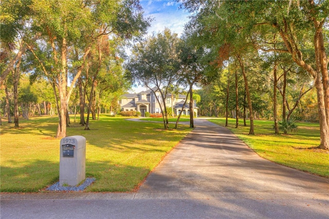 view of home's community with a lawn