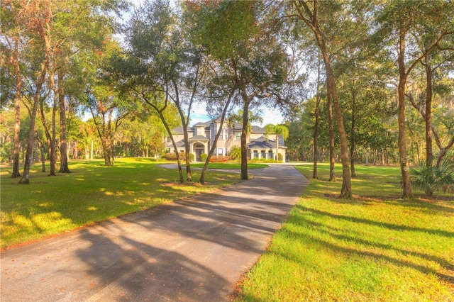 surrounding community featuring a yard