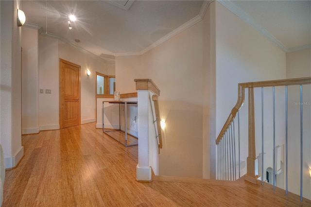 hallway with light wood-type flooring and crown molding