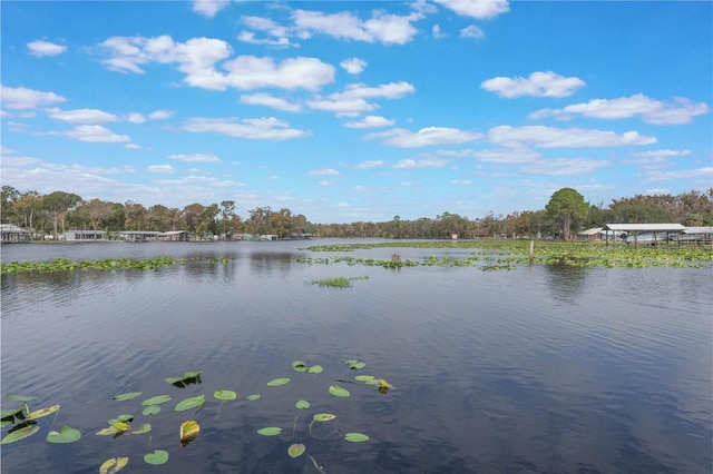 property view of water