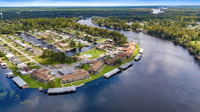 1640 Juno Trl Unit 205A, Astor, FL 32102 - aerial view of residential area with a nearby body of water and a forest