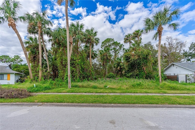 TBD Tumbleweed Trail, Port Orange, FL 32127