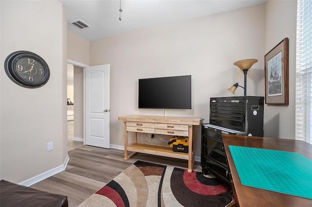 living room featuring wood-type flooring