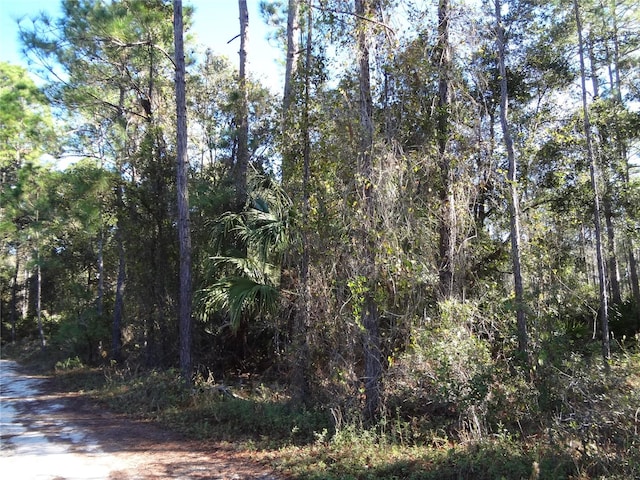 12th Ave, Deland FL, 32724 land for sale