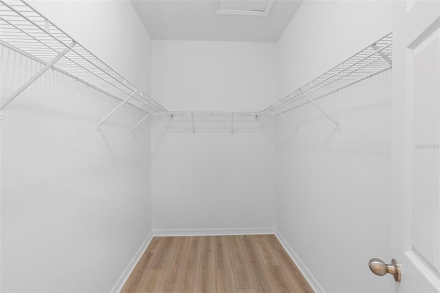 spacious closet with wood-type flooring