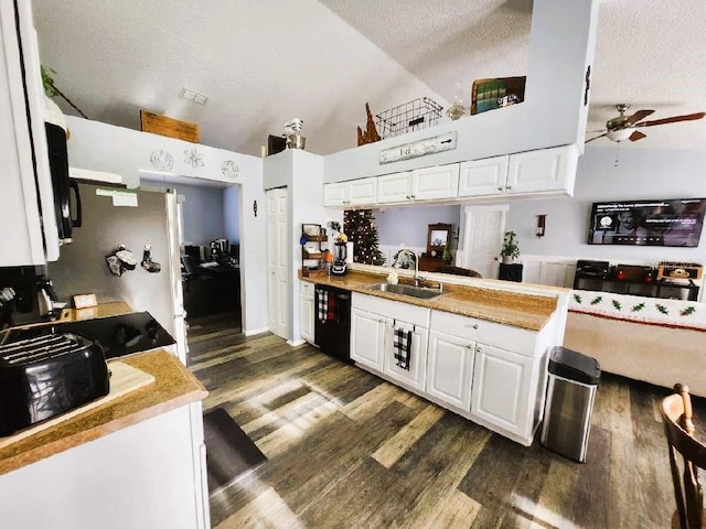 kitchen with lofted ceiling, sink, dark hardwood / wood-style floors, a textured ceiling, and white cabinetry