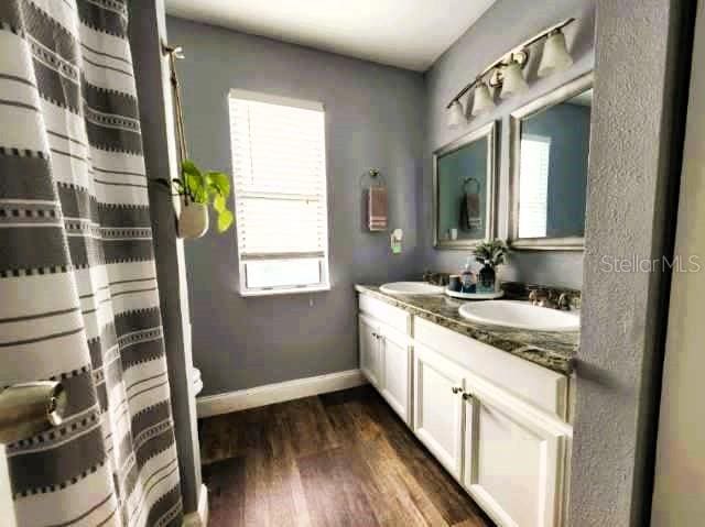 bathroom featuring vanity, wood-type flooring, and toilet