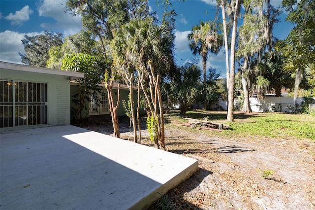 view of yard with a patio area