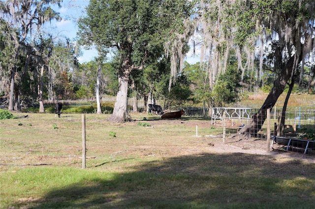 view of yard with a rural view