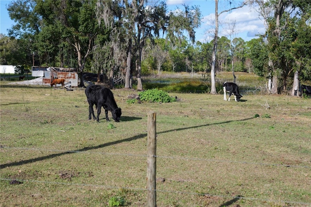 view of yard with a rural view