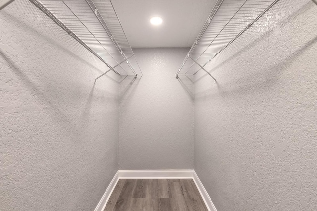 walk in closet with hardwood / wood-style floors