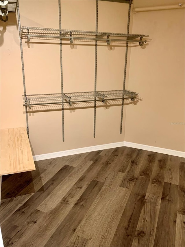 walk in closet with hardwood / wood-style flooring