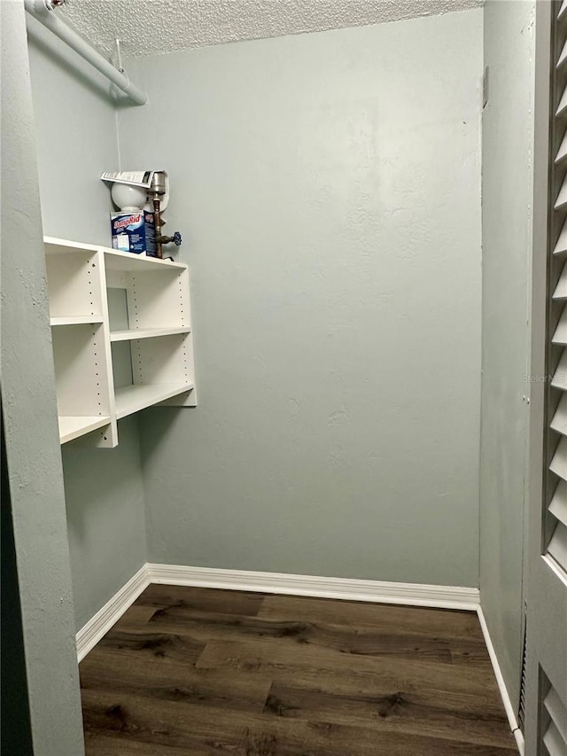 spacious closet featuring dark hardwood / wood-style flooring