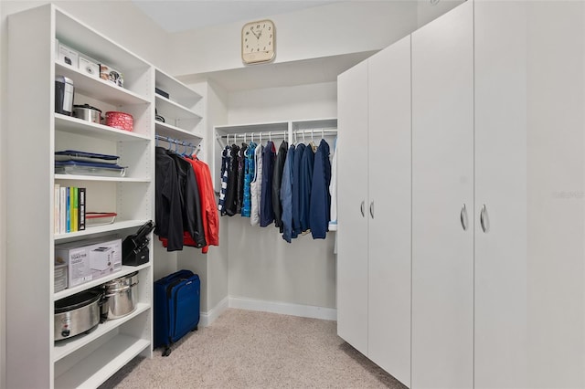 view of spacious closet