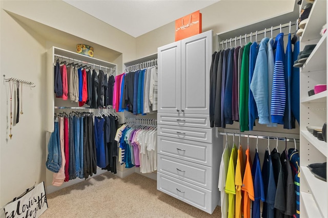 spacious closet with light colored carpet