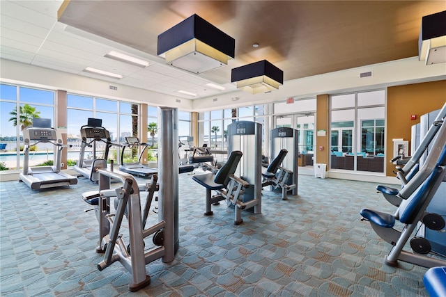 workout area with a wealth of natural light, french doors, and carpet