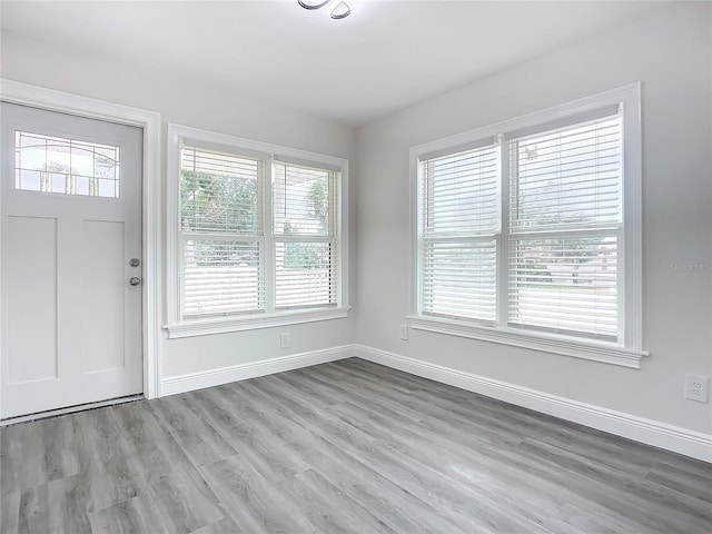 foyer entrance featuring light hardwood / wood-style flooring