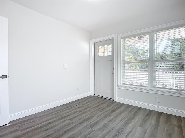 entryway featuring dark hardwood / wood-style flooring