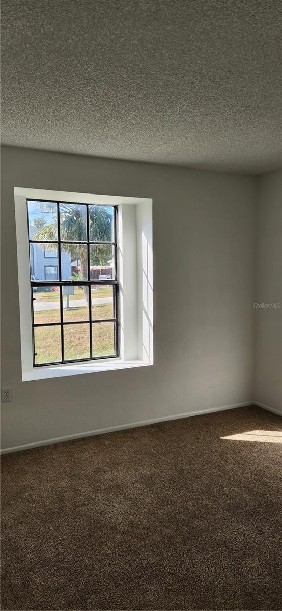 spare room featuring carpet and a textured ceiling