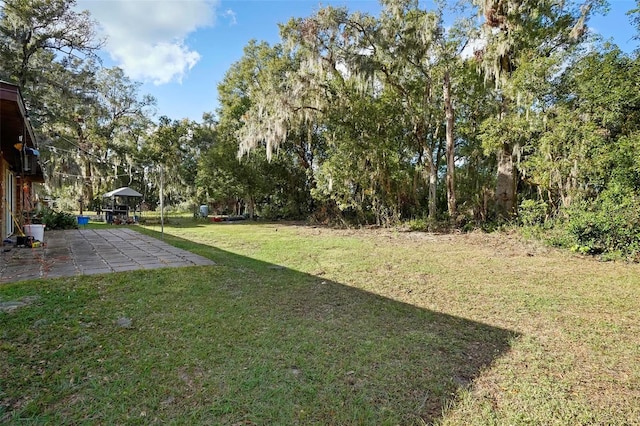 1195 Glen Royal Ter, Deland, FL 32720 - view of green lawn with a patio