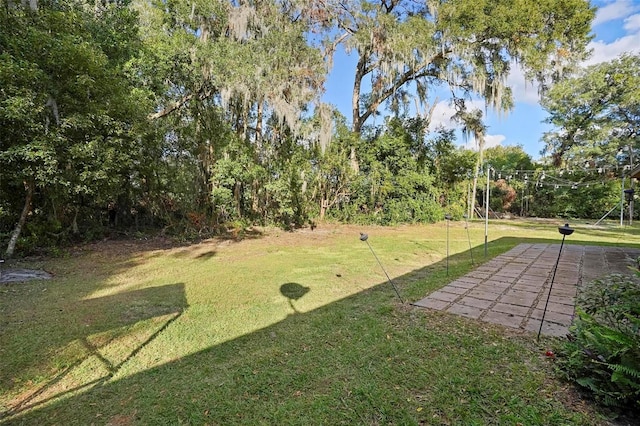 1195 Glen Royal Ter, Deland, FL 32720 - view of grassy yard