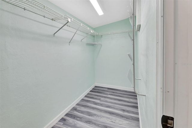 walk in closet featuring hardwood / wood-style flooring