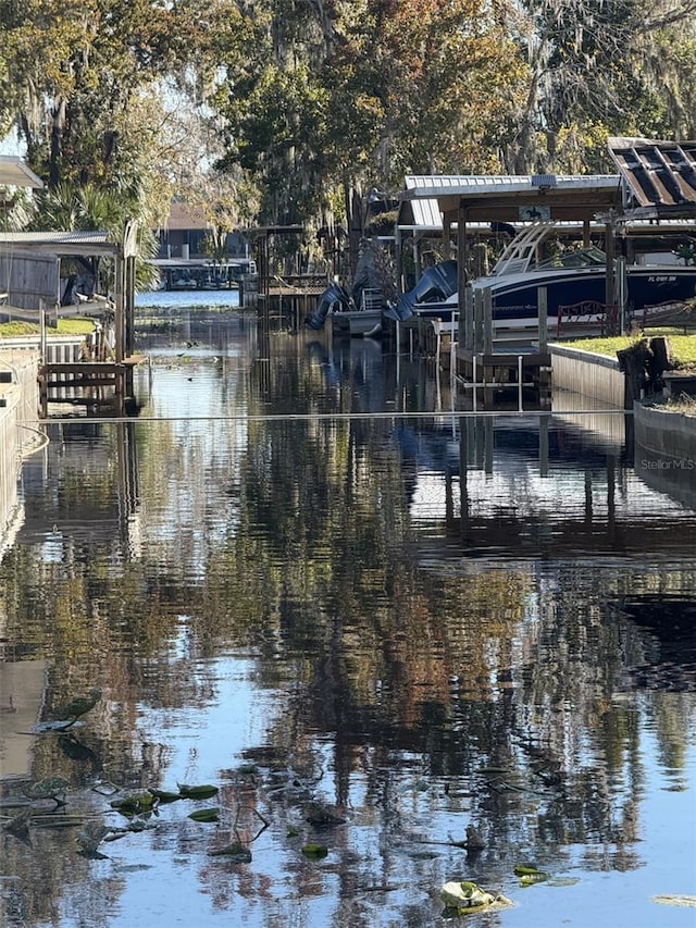 dock area with a water view