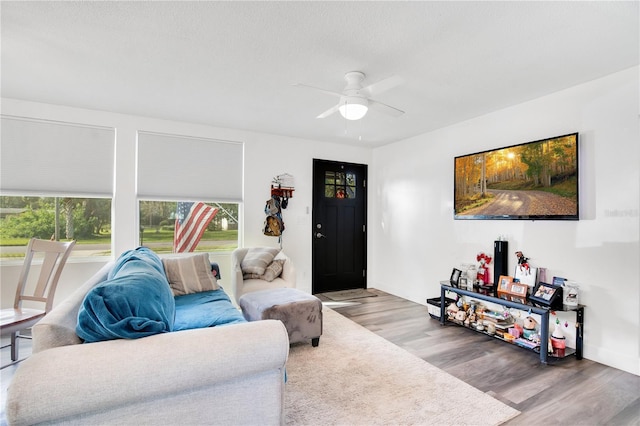 living room featuring hardwood / wood-style floors and ceiling fan