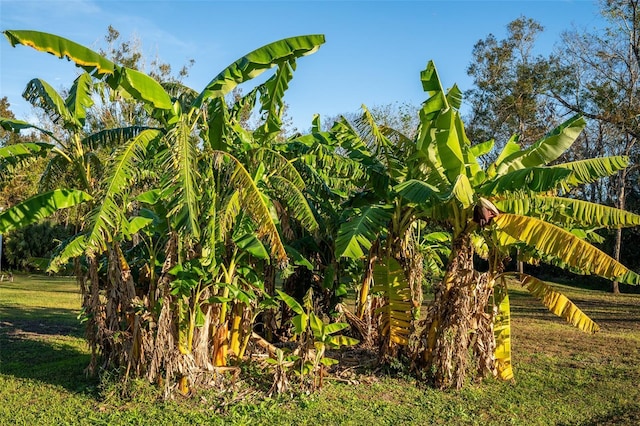 view of nature