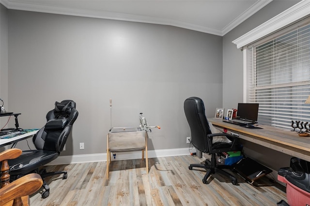 office area featuring crown molding and light hardwood / wood-style floors