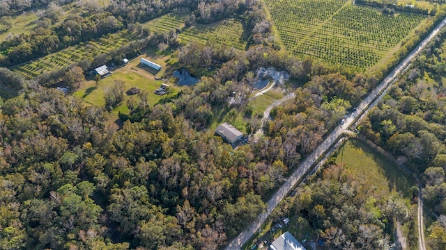 drone / aerial view featuring a rural view