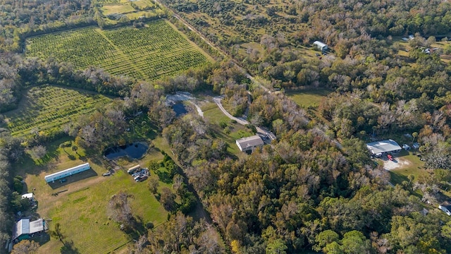 bird's eye view featuring a rural view