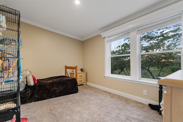 carpeted bedroom featuring crown molding and baseboards