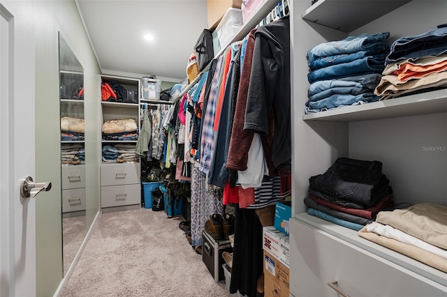 walk in closet featuring carpet floors