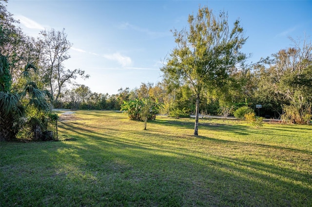 view of yard