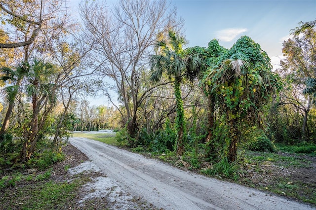 view of street with a forest view
