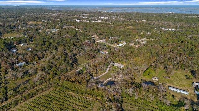 bird's eye view with a forest view