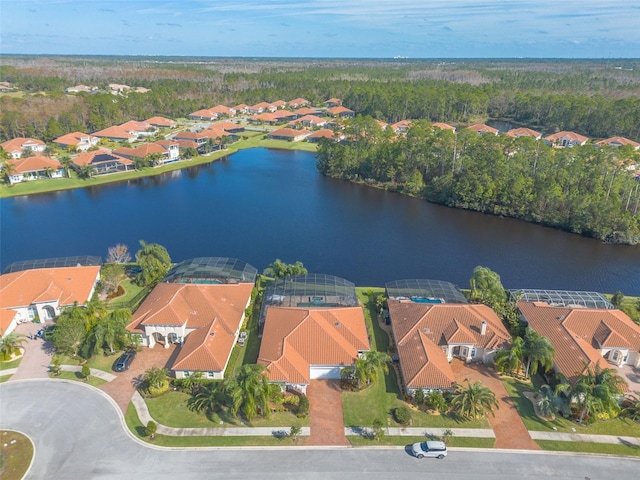 aerial view with a water view