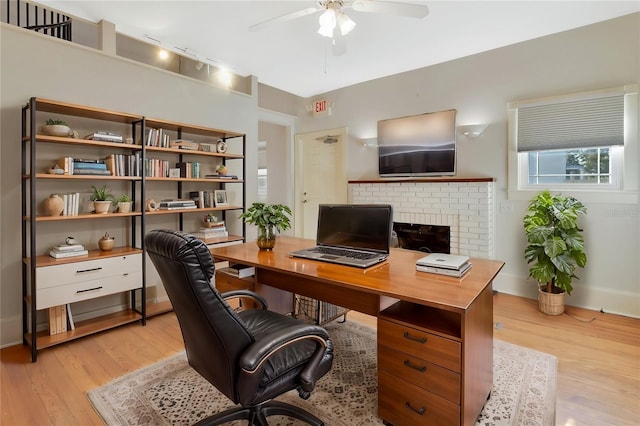 office featuring ceiling fan, light wood-type flooring, and track lighting