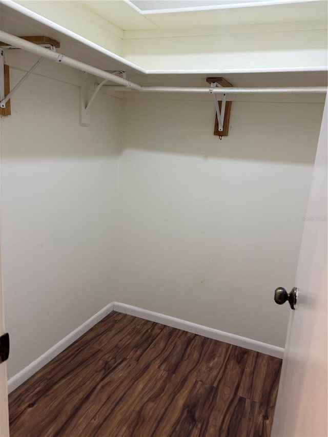 walk in closet with dark hardwood / wood-style flooring