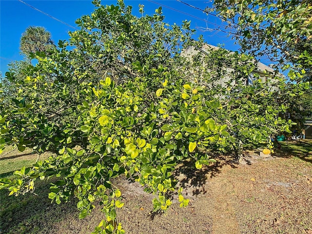 view of landscape