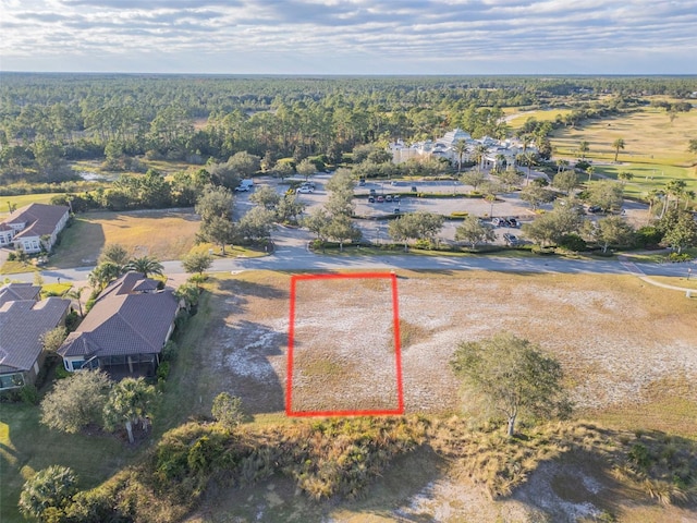 439 Bourganville Dr, Palm Coast, FL 32137 - photo 13
