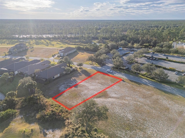 439 Bourganville Dr, Palm Coast, FL 32137 - photo 14