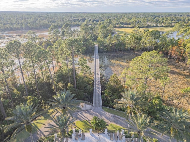 439 Bourganville Dr, Palm Coast, FL 32137 - photo 46