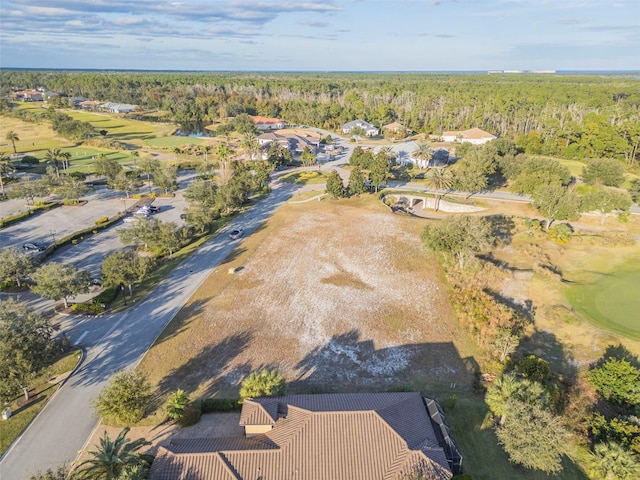 439 Bourganville Dr, Palm Coast, FL 32137 - photo 49