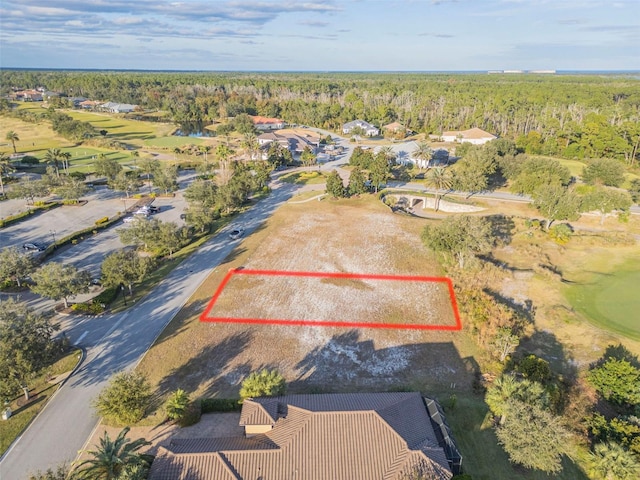 439 Bourganville Dr, Palm Coast, FL 32137 - photo 50