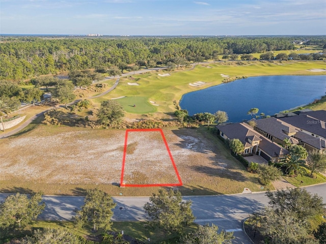 439 Bourganville Dr, Palm Coast FL, 32137 land for sale