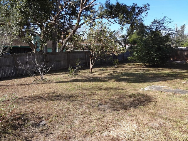 view of yard with a fenced backyard