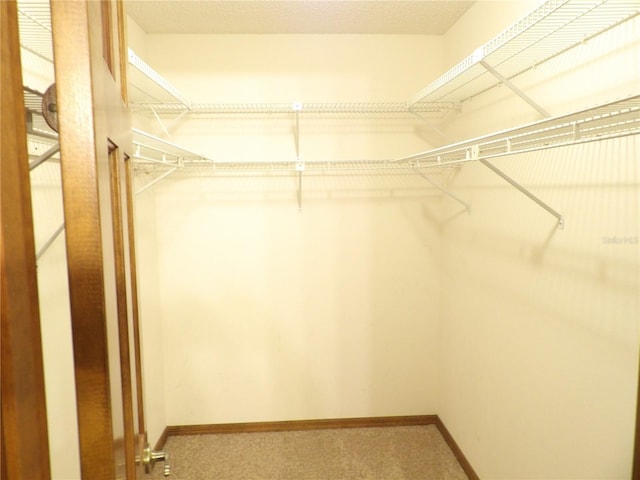 walk in closet with carpet flooring