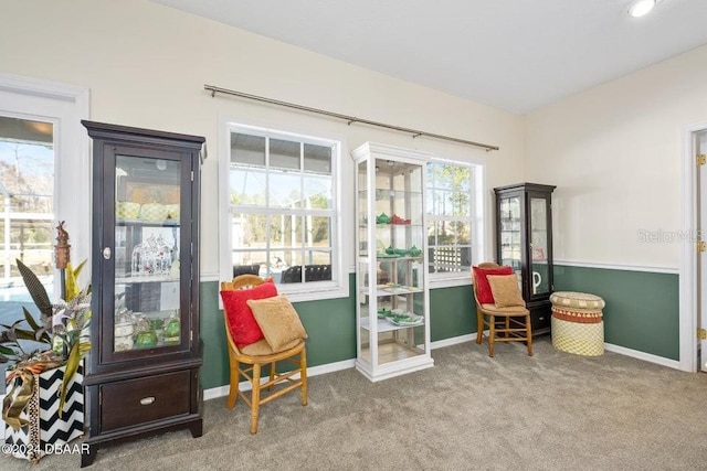 sitting room featuring light carpet